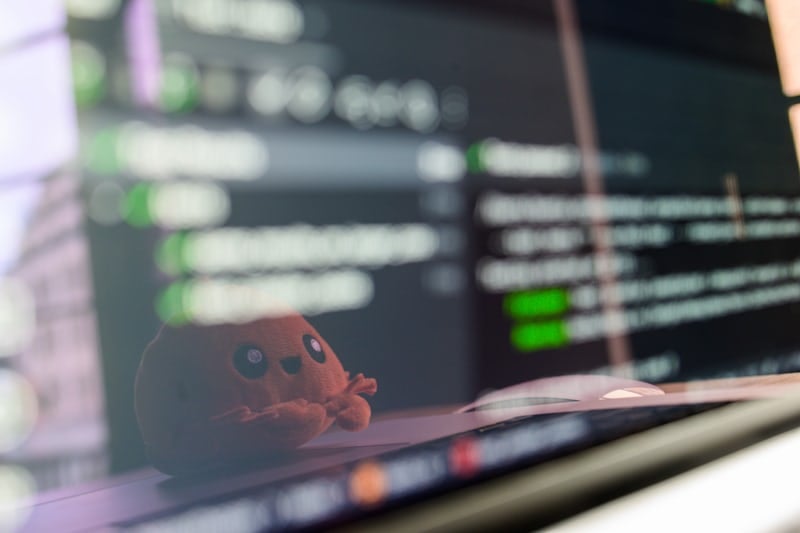 Sustentação Técnica, Segurança Defensiva & Suporte WordPress