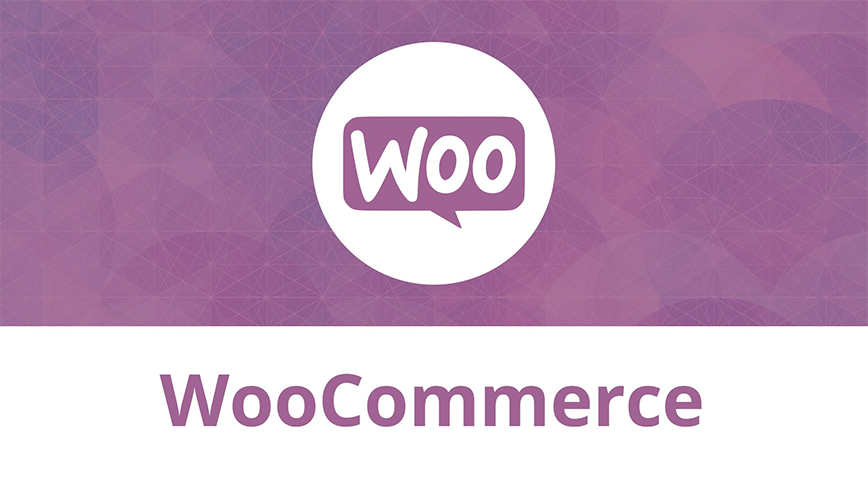 Portfólios - Deise Dilkin Extensão personalizada para Woocommerce