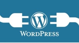 Imagem wordpress e plugins
